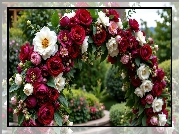 Ogród, Kwiatowy, Łuk, Czerwone, Białe, Róże, Kwiaty
