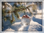 Szklane, Jabłko, Iglak, Śnieg, Zima, Grafika AI