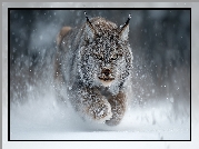 Ryś, Śnieg, Zima, Grafika AI