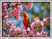 Kolorowa, Papuga, Kwiaty, Drzewo owocowe