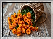 Pomarańczowe, Kwiaty, Leżący, Kosz, Wiklinowy, Deski