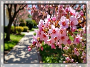 Kwiaty, Gałązka, Grafika AI