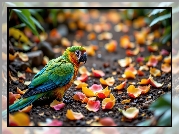 Papuga, Płatki, Kwiatów, AI