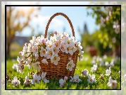 Białe, Różowe, Drobne, Kwiaty, Wiklinowy, Koszyk