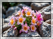 Kępka, Kolorowe, Kwiaty, Kamienie, Grafika AI