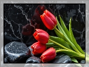 Tulipany, Czerwone, Kamienie, Tło, Marmurowe
