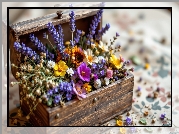 Drewniana, Skrzynka, Lawenda, Kwiaty