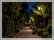 Drzewa owocowe, Ławki, Latarnie, Aleja