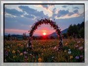 Łuk, Kwiaty, Łąka, Zachód słońca