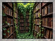 Regały, Książki, Pnące, Rośliny