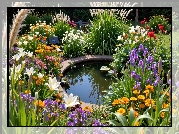 Ogród, Oczko, Wodne, Kolorowe, Kwiaty, Trawy, Ozdobne