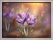 Dwa, Fioletowe, Krokusy, Grafika AI