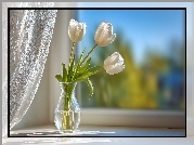Trzy, Białe, Tulipany, Wazon, Okno, Parapet, Grafika AI