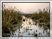 Rzeka, Wysokie, Trawy, Góry, Wschód słońca