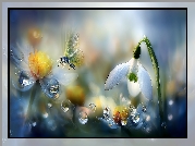 Przebiśnieg, Kwiat, Motyl, Krople, Grafika AI