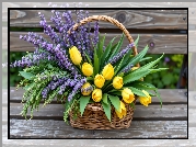 Żółte, Tulipany, Lawenda, Koszyk, Ławka
