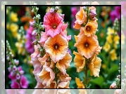 Malwy, Kwiaty, Grafika AI