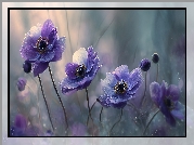 Anemony, Zawilce, Fioletowe, Kwiaty, Grafika AI