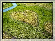 Australia, Oceania, Coeur de Voh, Lasy mangrowe, Serce